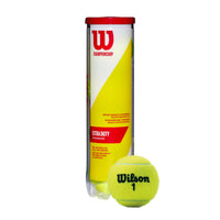 CHAMP XD TBALL 4 BALL CAN
