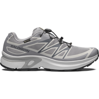 SHOES XT-EVR GTX M Alloy/LunRoc/Black
