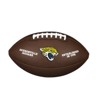 NFL TEAM BACKYARD LEGEND DEF JX OF