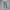 M J DF SPRT CSVR FLC PANT