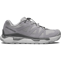 SHOES XC ROAM GTX Alloy/Alloy/Castlerock