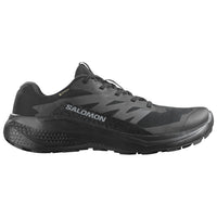 SHOES ALPHAGLIDE GTX W Black/Asphal/Blac
