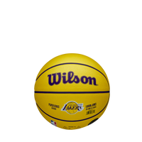 NBA PLAYER ICON MINI BSKT LEBRON NEW 3