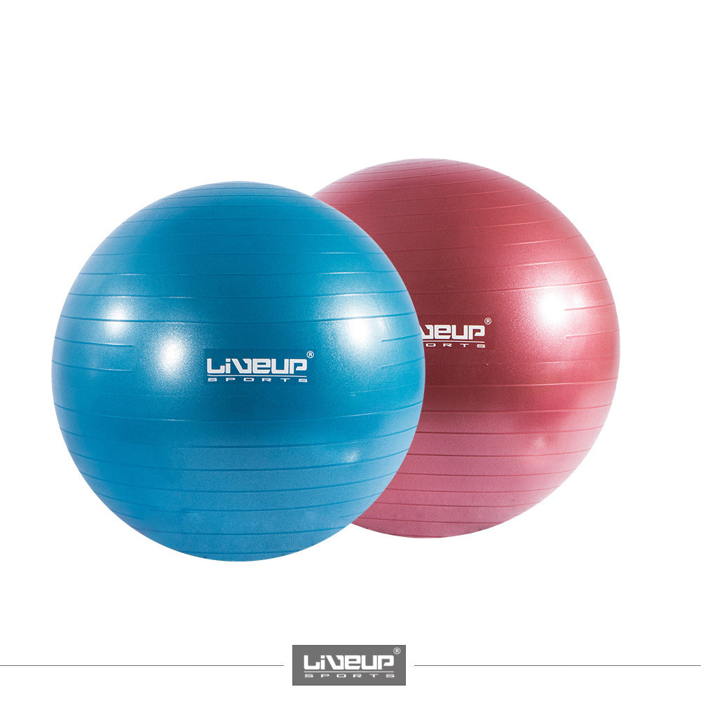 ANTI-BURST GYM BALL-55CM