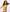 RAINBOW TIDE TERRY BIKINI-GIRL