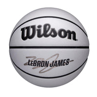 NBA PLAYER ICON UV BSKT LEBRON 7
